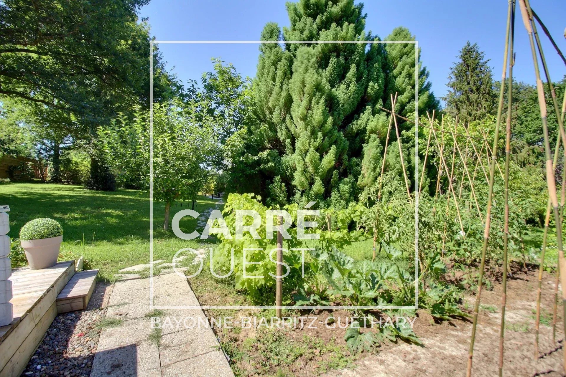 MAISON VENTE ARCANGUES 64200 - SURFACE 200M2 - REF 3600 Photo 6