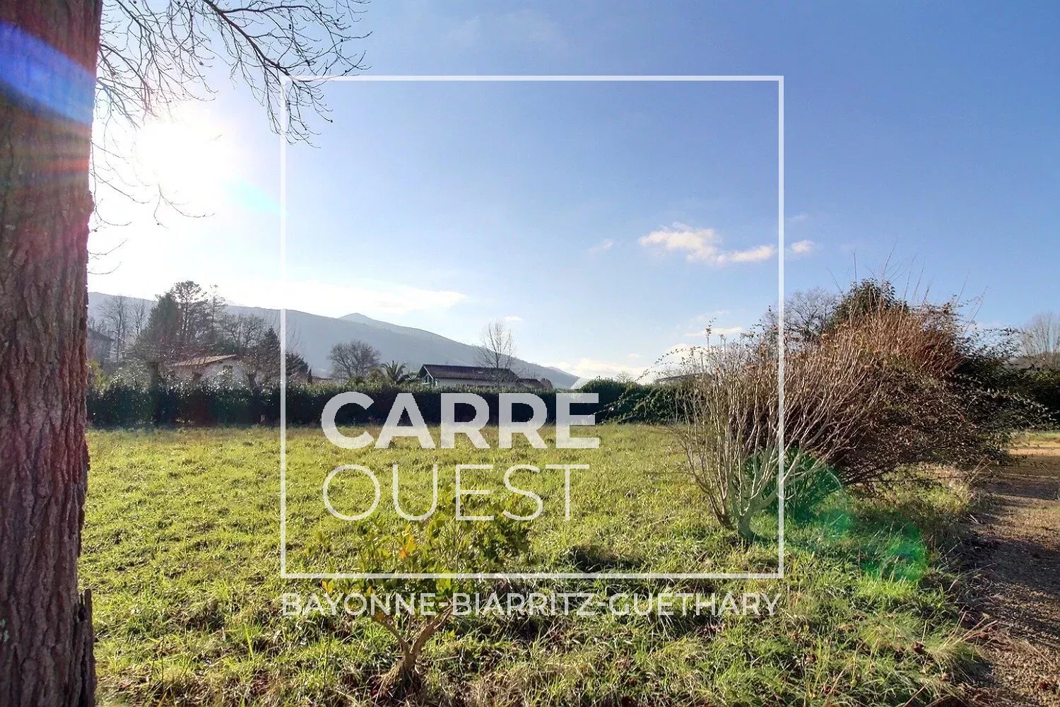 MAISON VENTE ITXASSOU 64250 - SURFACE 450M2 - REF 3603 Photo 4