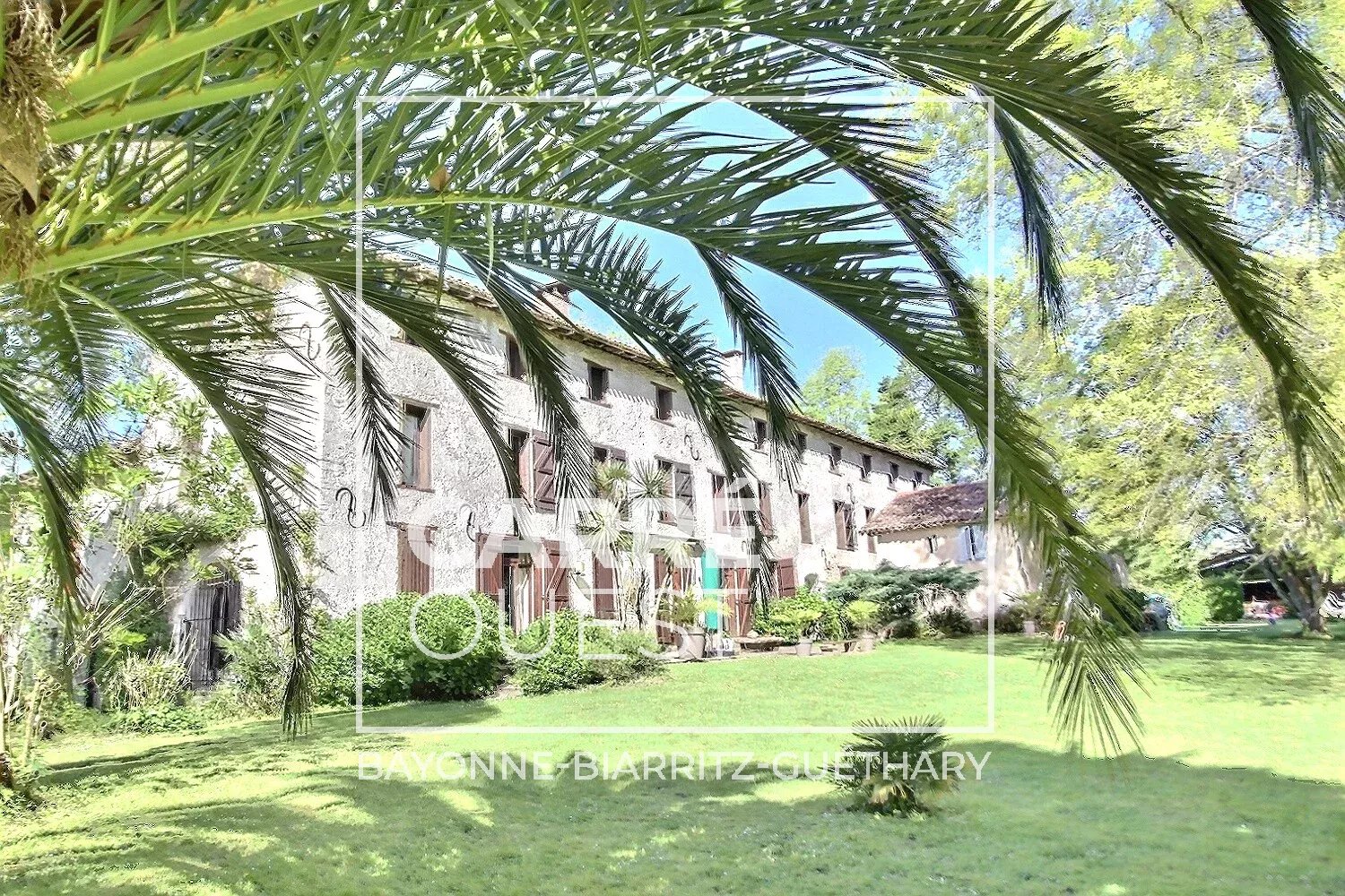 MAISON VENTE URT 64240 - SURFACE 680M2 - REF 3636 Photo 3