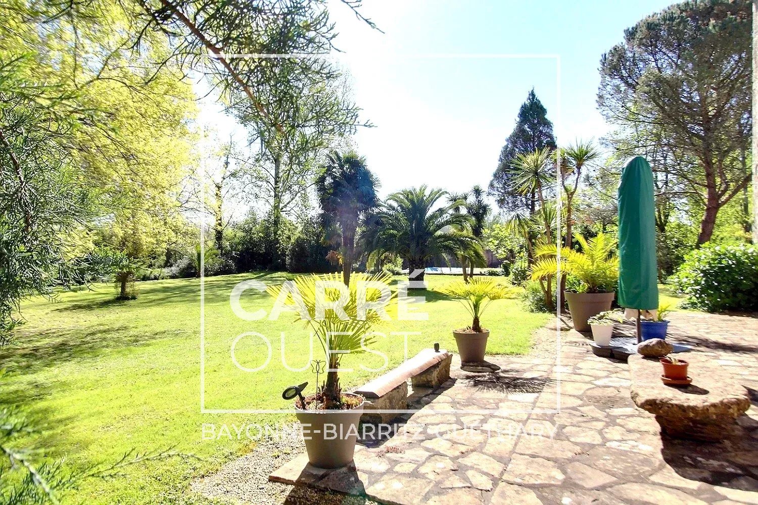 MAISON VENTE URT 64240 - SURFACE 680M2 - REF 3636 Photo 6