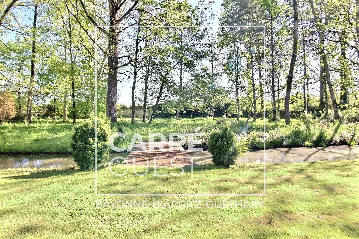 MAISON VENTE URT 64240 - SURFACE 680M2 - REF 3636 Photo 7