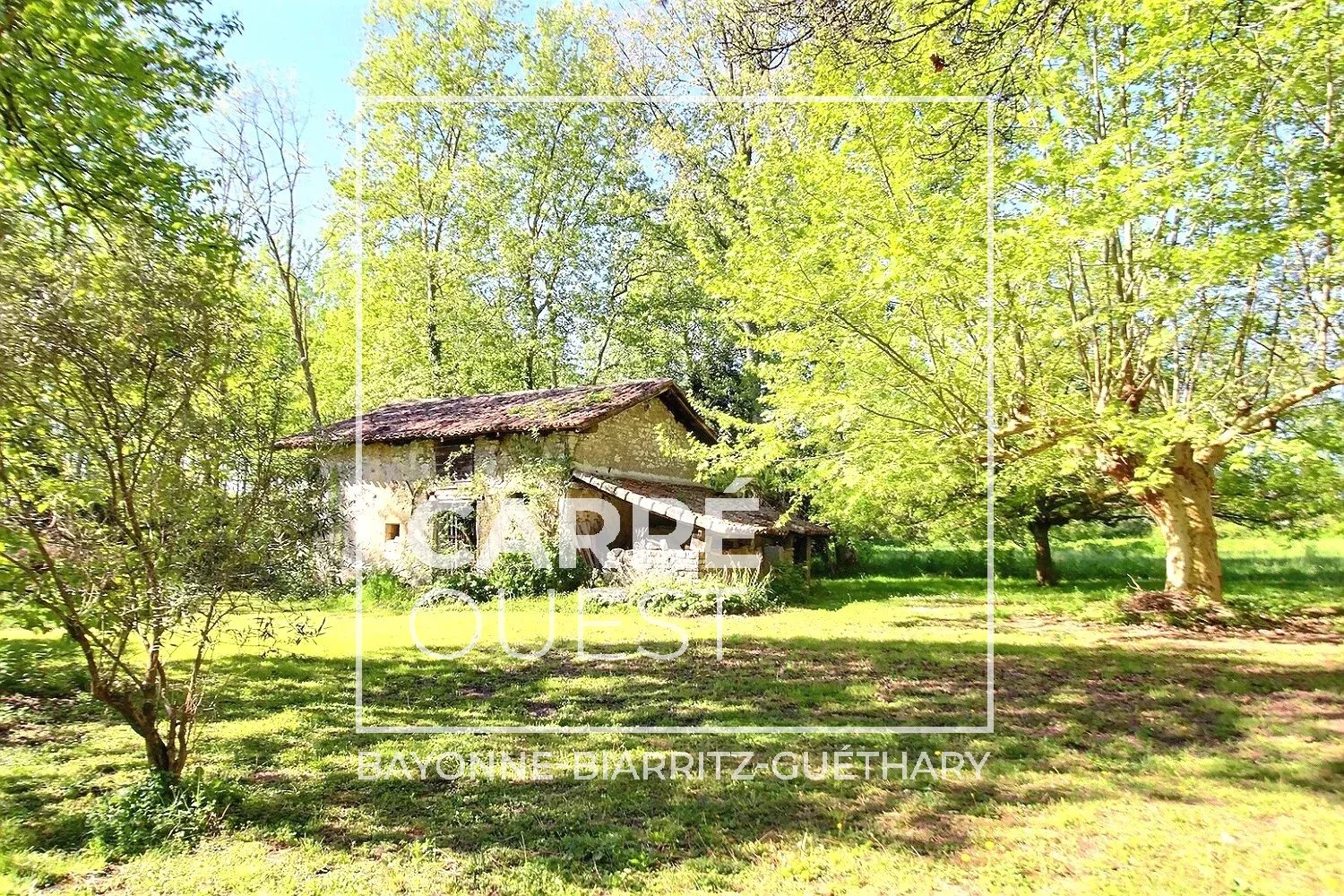 MAISON VENTE URT 64240 - SURFACE 680M2 - REF 3636 Photo 9