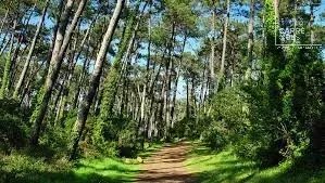 MAISON VENTE ANGLET 64600 - SURFACE 170M2 - REF 3531 Photo 1