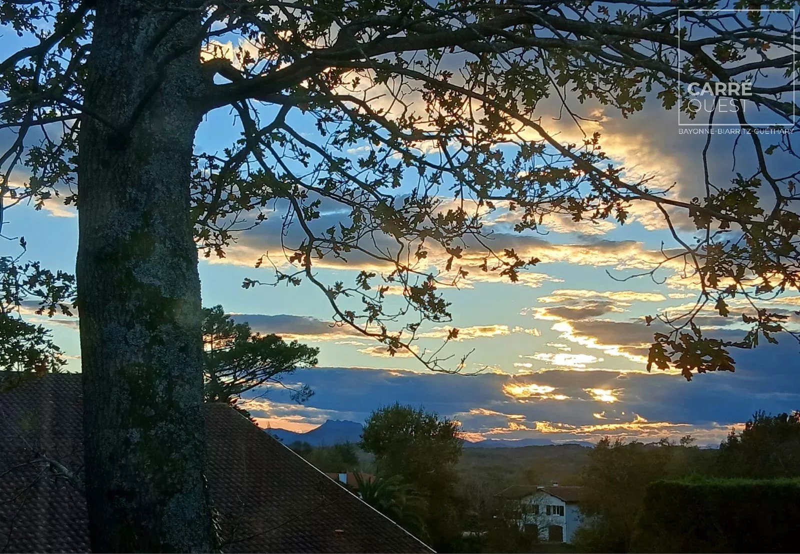 MAISON VENTE ARBONNE 64210 - SURFACE 105M2 - REF 3678 Photo 6