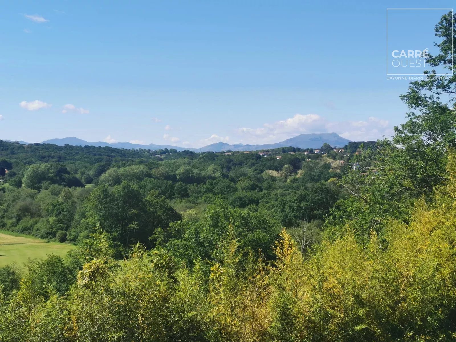 MAISON VENTE BASSUSSARRY 64200 – SURFACE 223M2 – REF 3548 Photo 3 MAISON VENTE BASSUSSARRY 64200 - SURFACE 223M2 - REF 3548 Photo 3