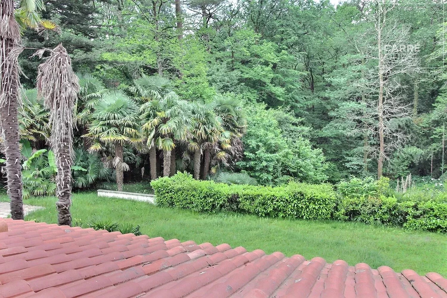 MAISON VENTE BAYONNE 64100 - SURFACE 200M2 - REF 3637 Photo 3