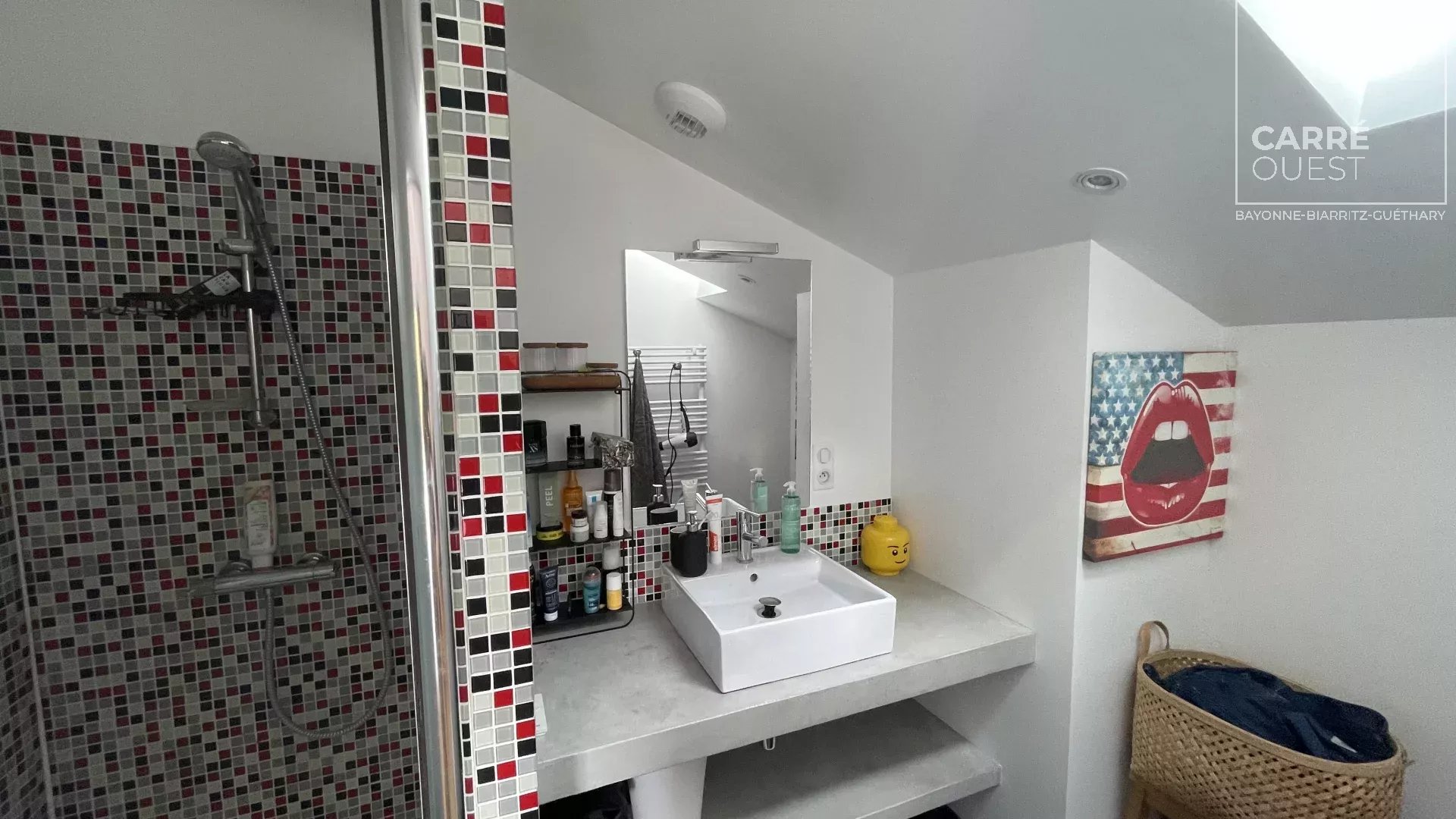 MAISON VENTE ARBONNE 64210 - SURFACE 160M2 - REF 3648 Photo 8