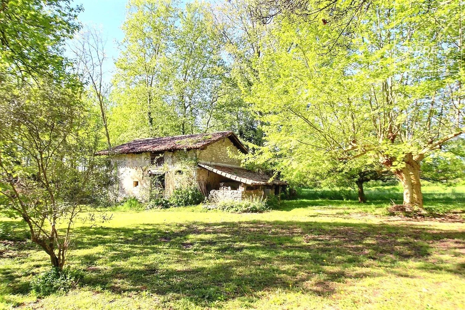 MAISON VENTE URT 64240 - SURFACE 680M2 - REF 3636 Photo 10