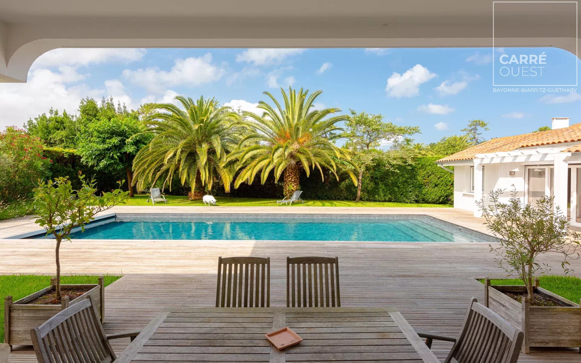 MAISON VENTE ANGLET 64600 – SURFACE 500M2 – REF 3676 Photo 4 MAISON VENTE ANGLET 64600 - SURFACE 500M2 - REF 3676 Photo 4