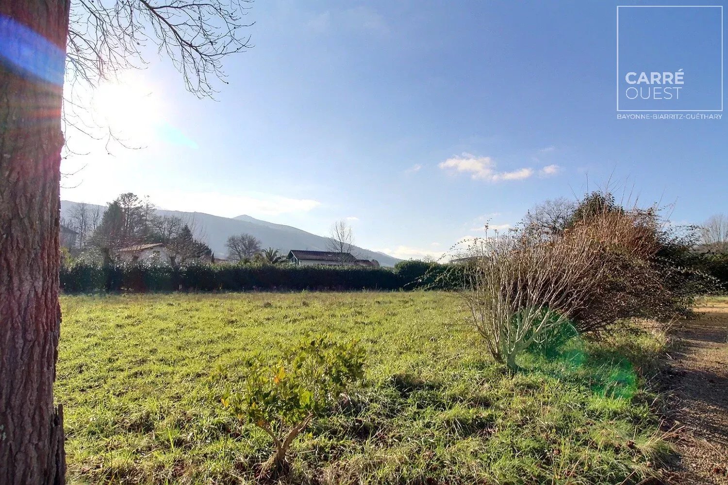 MAISON VENTE ITXASSOU 64250 - SURFACE 450M2 - REF 3603 Photo 4