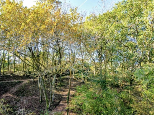 MAISON VENTE ARBONNE 64210 - SURFACE 275M2 - REF 3694 CDE Photo 1