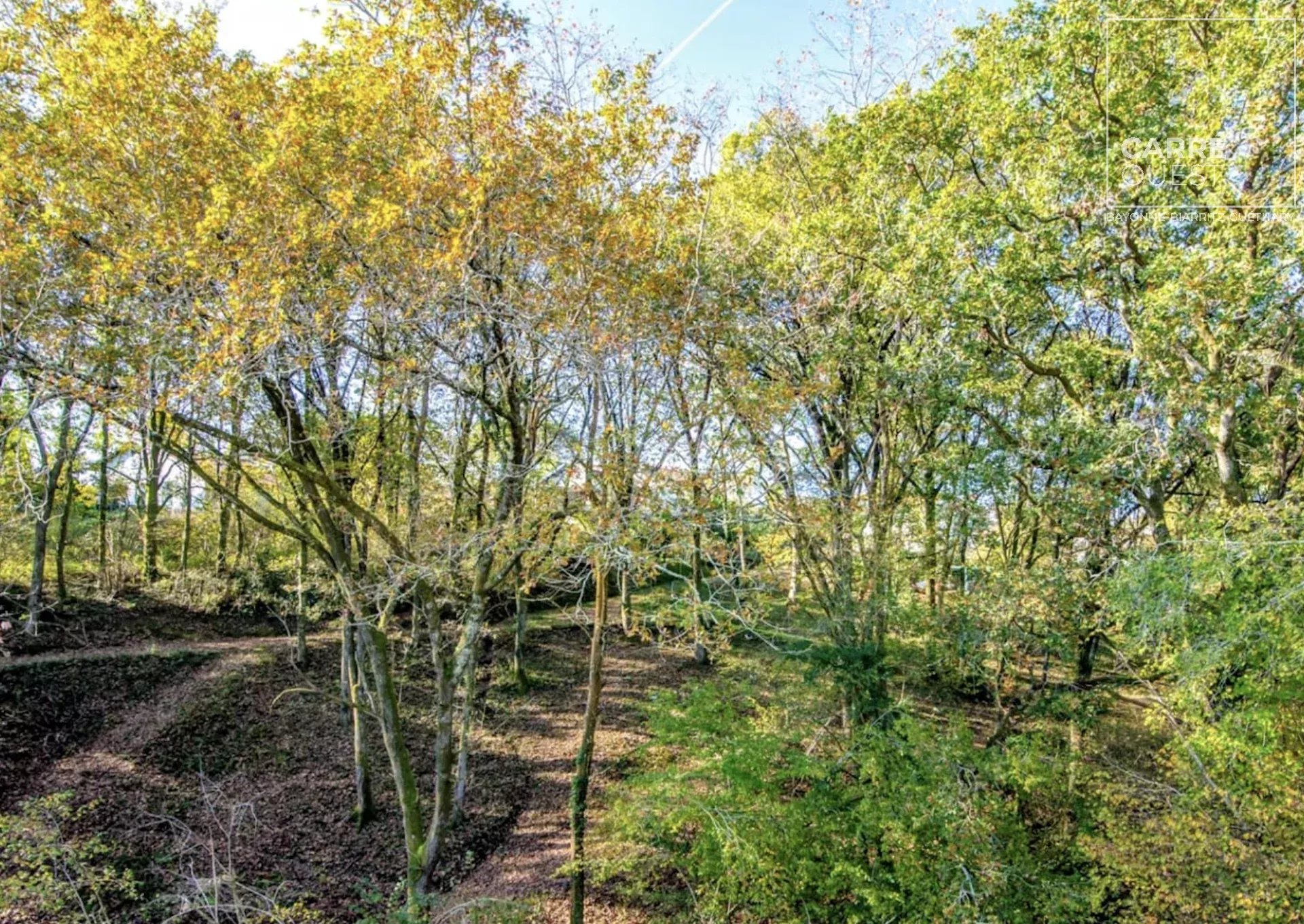 MAISON VENTE ARBONNE 64210 - SURFACE 275M2 - REF 3694 CDE Photo 1