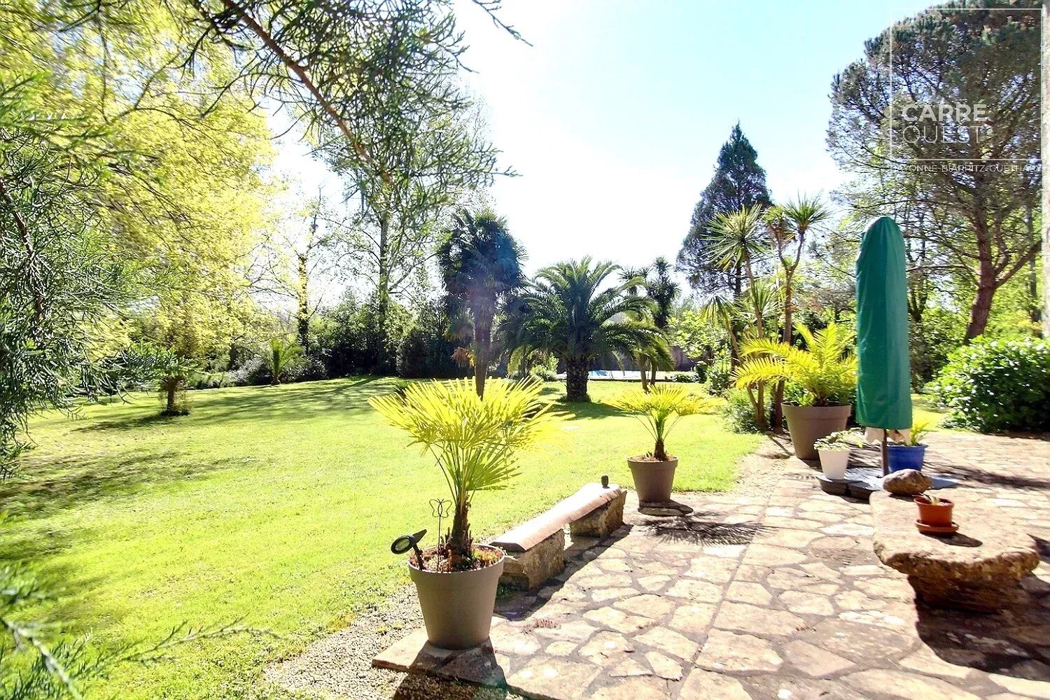 MAISON VENTE URT 64240 - SURFACE 680M2 - REF 3636 Photo 8