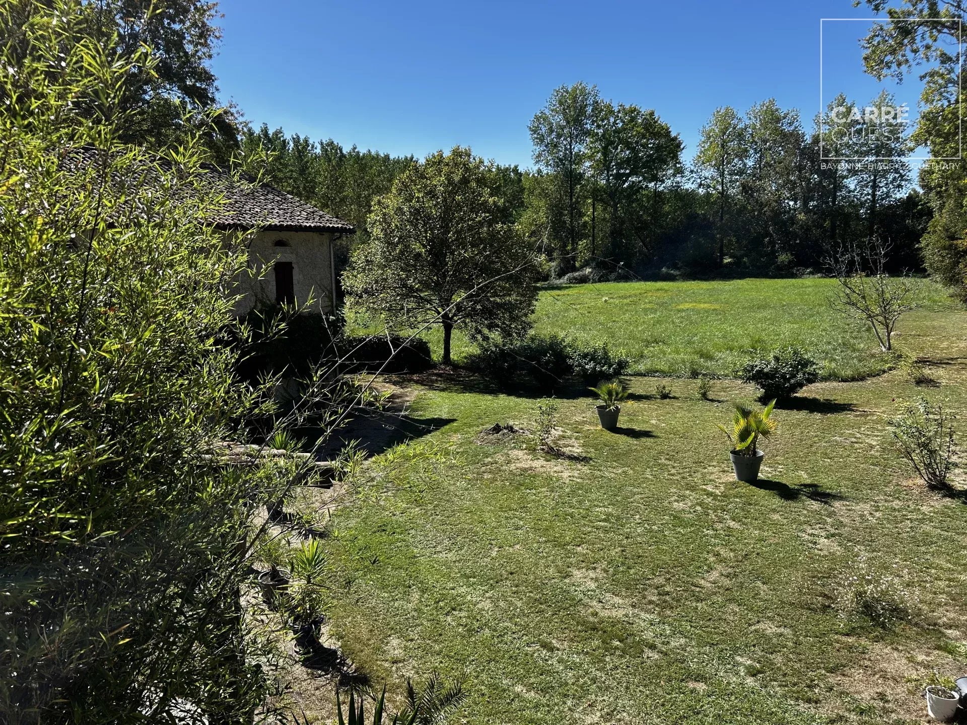 MAISON VENTE URT 64240 - SURFACE 680M2 - REF 3636 Photo 4